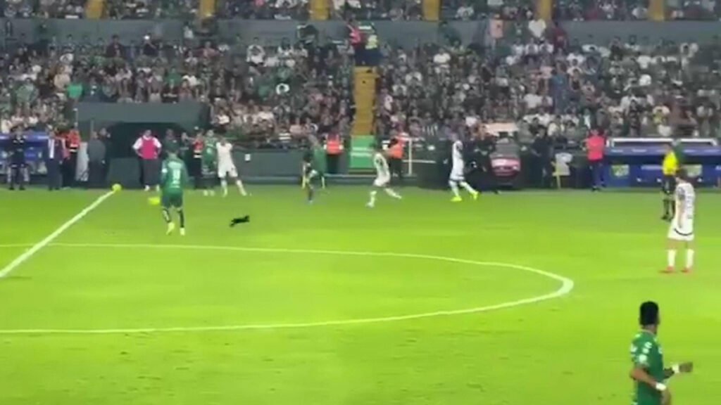 El gato negro cruza el camino: James Rodríguez es despedido y Sergio Ramos se lesiona