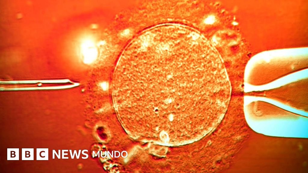 El uso de esperma de un donante portador de un gen cancerígeno llevó a la concepción de casi 200 niños: "Algunos desarrollaron tumores y varios ya han fallecido"