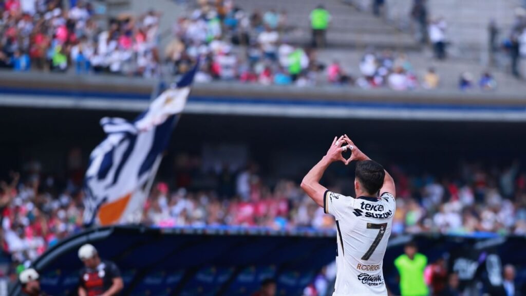 Los Pumas renacen a través de su propia transformación.