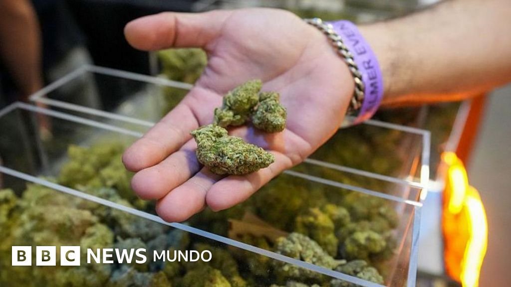 Trump firma una orden ejecutiva para reclasificar la marihuana y facilitar su acceso como droga menos peligrosa