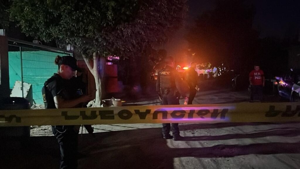 Perro asesinado en balacera; su cuerpo queda en el patio de una vivienda.