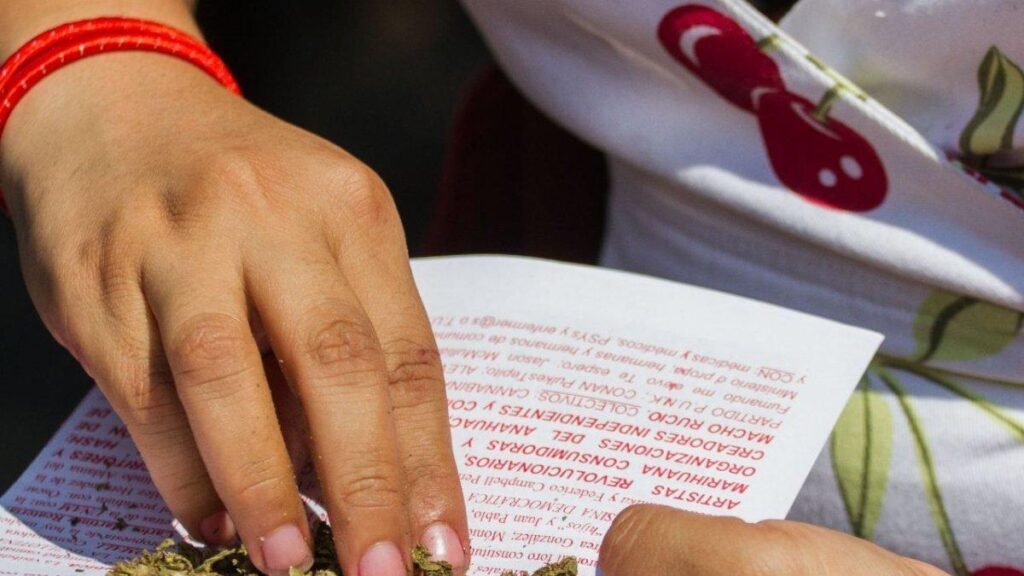 El límite de la portación de marihuana genera controversia en el Pleno de la Corte