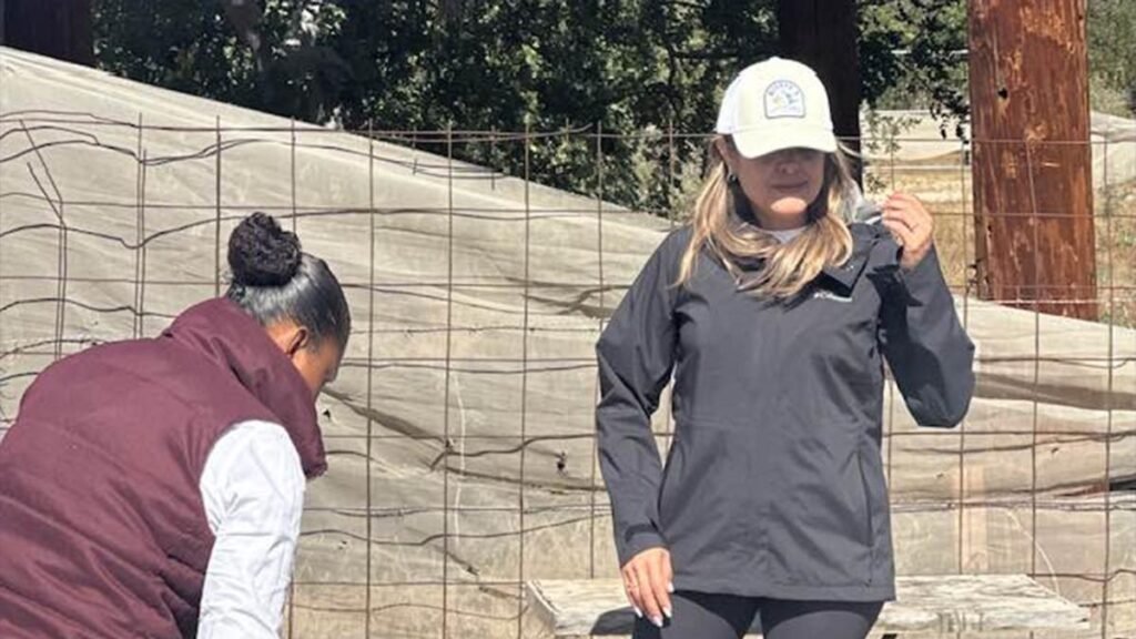 Exdirectora del INVI en BCS enfrenta proceso judicial por supuesta malversación de fondos